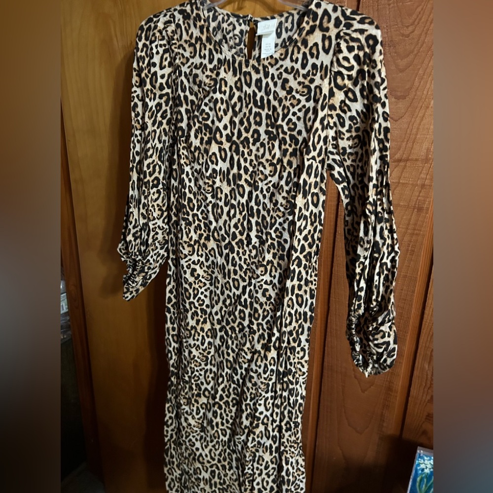 H&M leopard print maxi dress